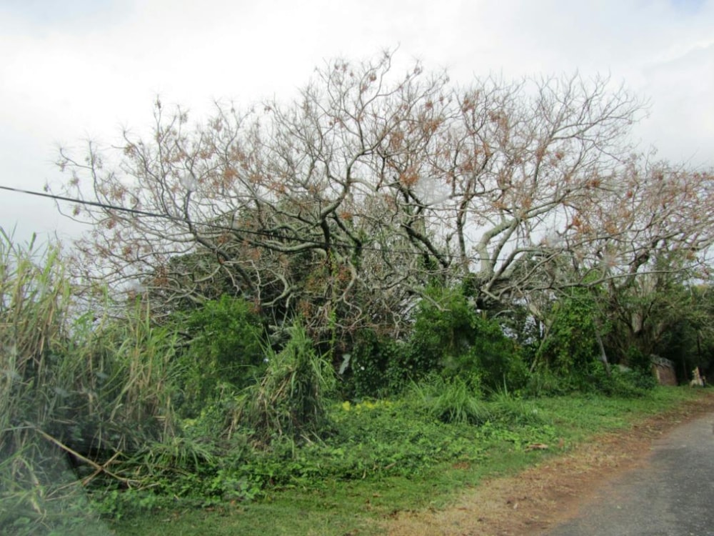 Vacant land for sale in St Michaels on Sea - 1PX1336084