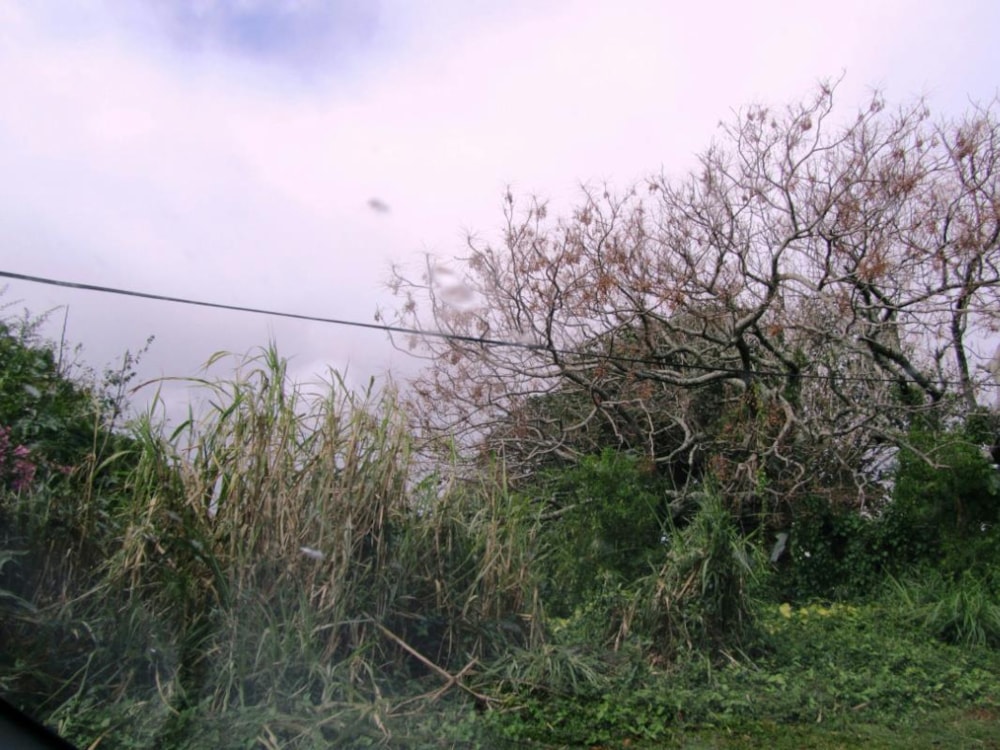 Vacant land for sale in St Michaels on Sea - 1PX1336084