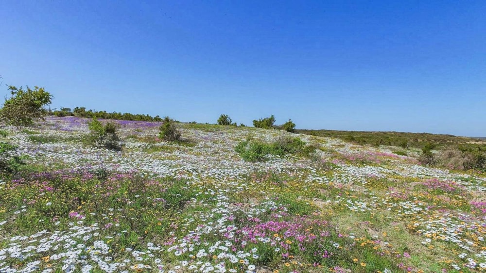 Vacant land sold in Shark Bay - LA1228082