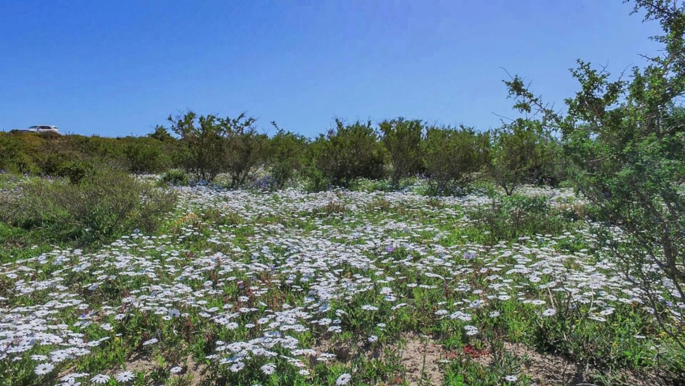 Vacant land sold in Shark Bay - LA1268552