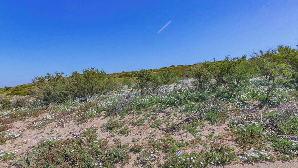 Vacant land sold in Shark Bay - LA1268552