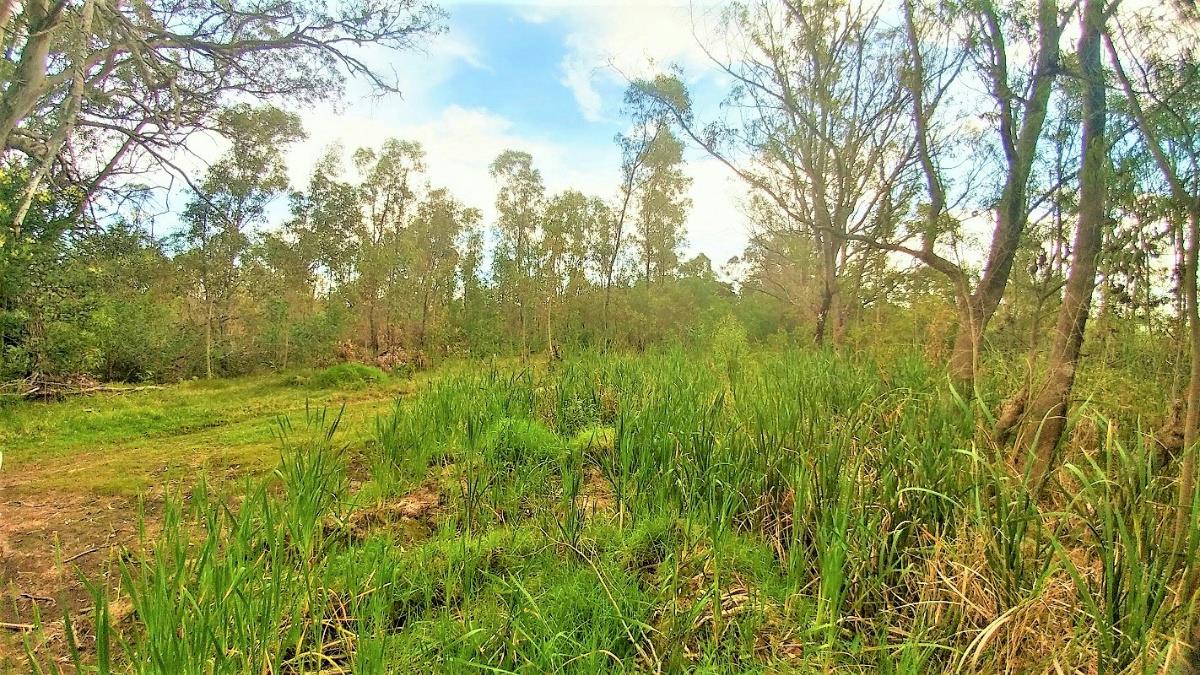 Vacant land for sale in Greenbushes - 1PLZ1346693