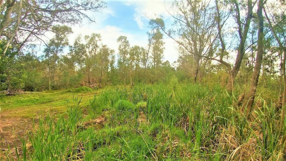 Vacant land for sale in Greenbushes - 1PLZ1346693 Vacant land for sale in Greenbushes - 1PLZ1346693