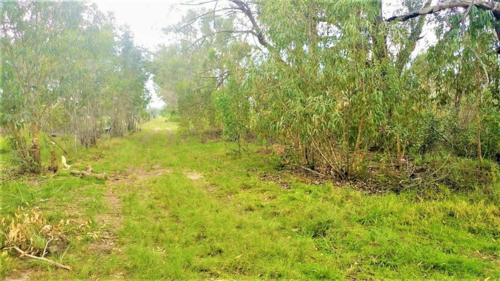 Vacant land for sale in Greenbushes - 1PLZ1346693 Vacant land for sale in Greenbushes - 1PLZ1346693