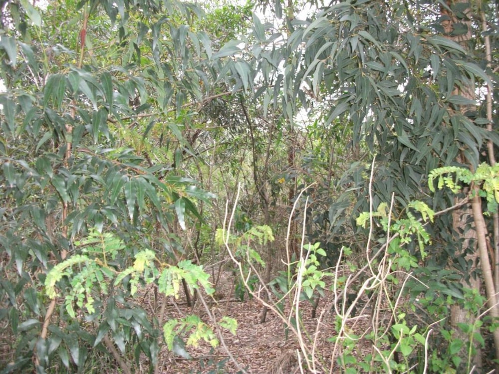 Residential vacant land for sale in Ramsgate - 1PD1348051 Residential vacant land for sale in Ramsgate - 1PD1348051