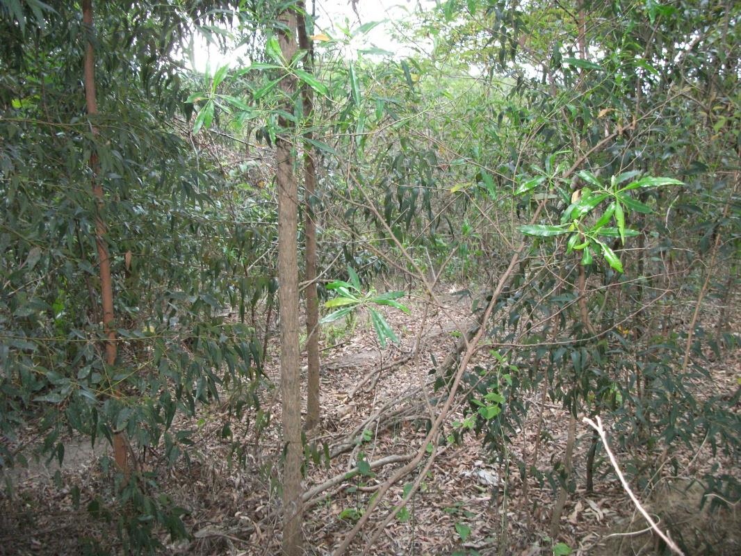 Residential vacant land for sale in Ramsgate - 1PD1348051