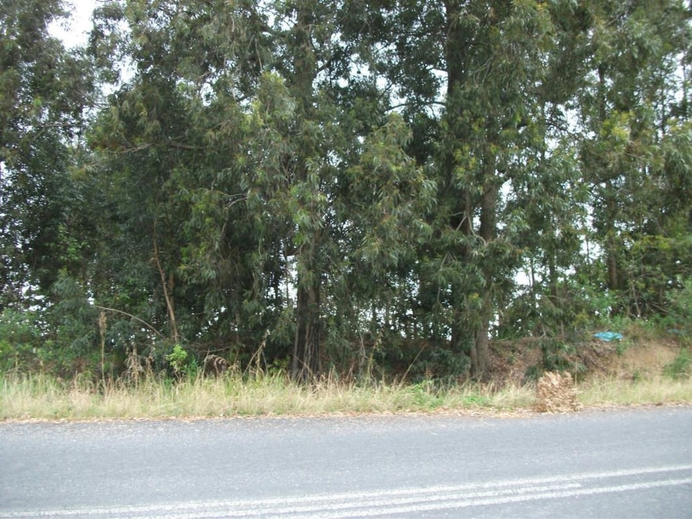 Residential vacant land for sale in Ramsgate - 1PD1348051 Residential vacant land for sale in Ramsgate - 1PD1348051