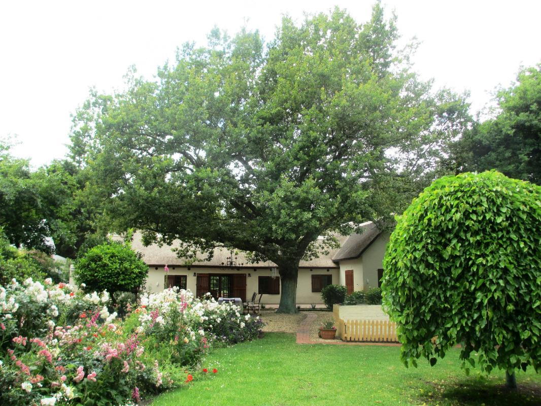 House for sale in Greyton - 1SW1350035