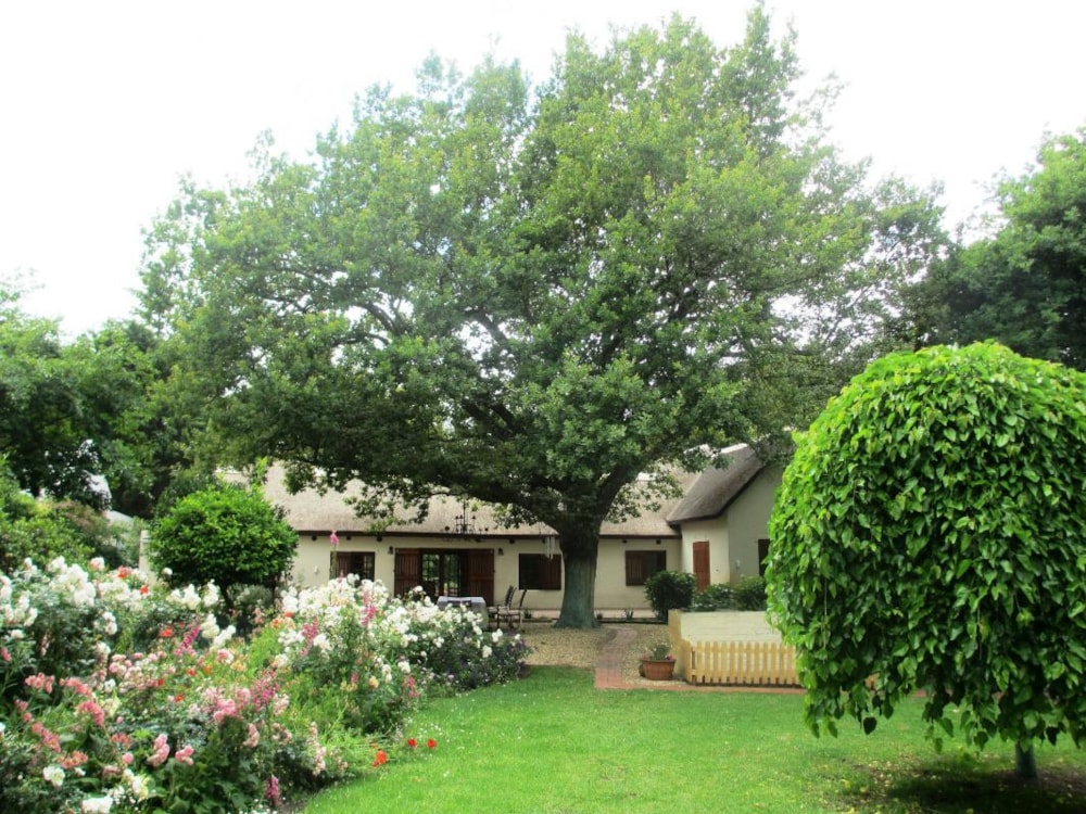 House for sale in Greyton - 1SW1350035