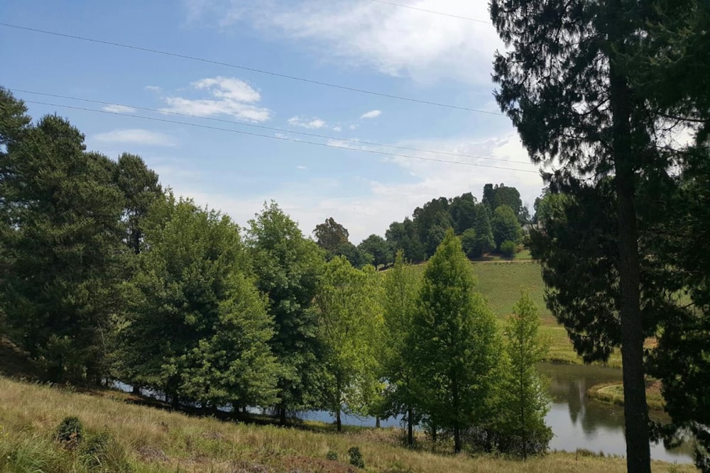 Vacant land for sale in Mount West - 1PM1352270