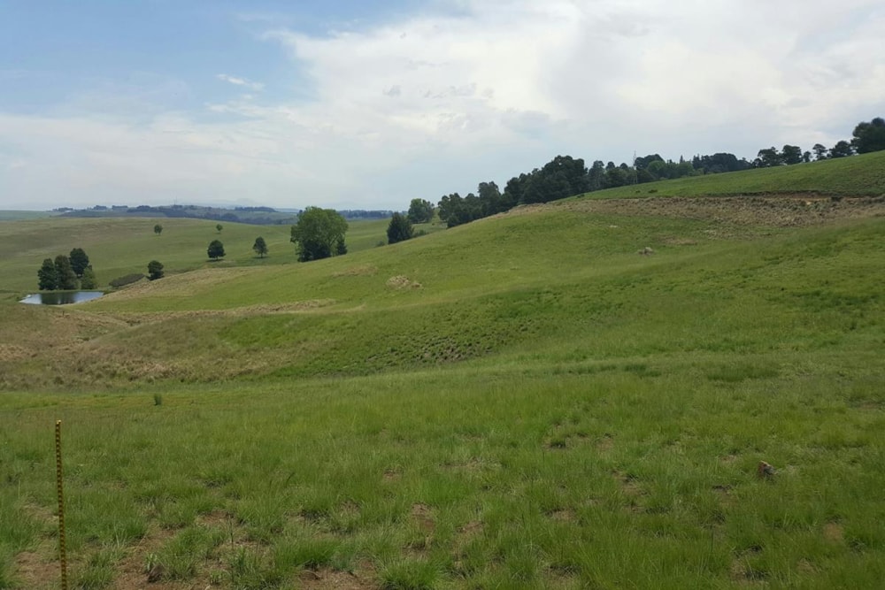 Vacant land for sale in Mount West - 1PM1352278