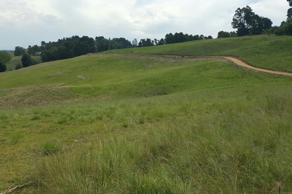 Vacant land for sale in Mount West - 1PM1352278