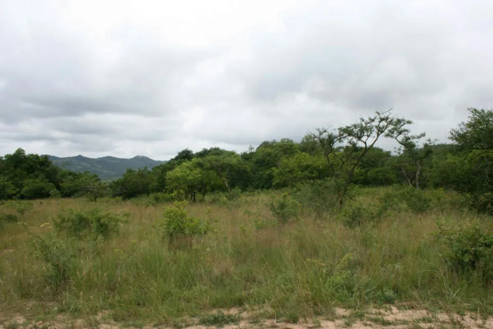Vacant land for sale in Highlands AH - 1NS1360438 Vacant land for sale in Highlands AH - 1NS1360438