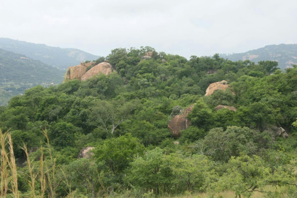 Vacant land for sale in Highlands AH - 1NS1360438