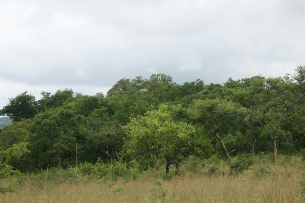 Vacant land for sale in Highlands AH - 1NS1360438