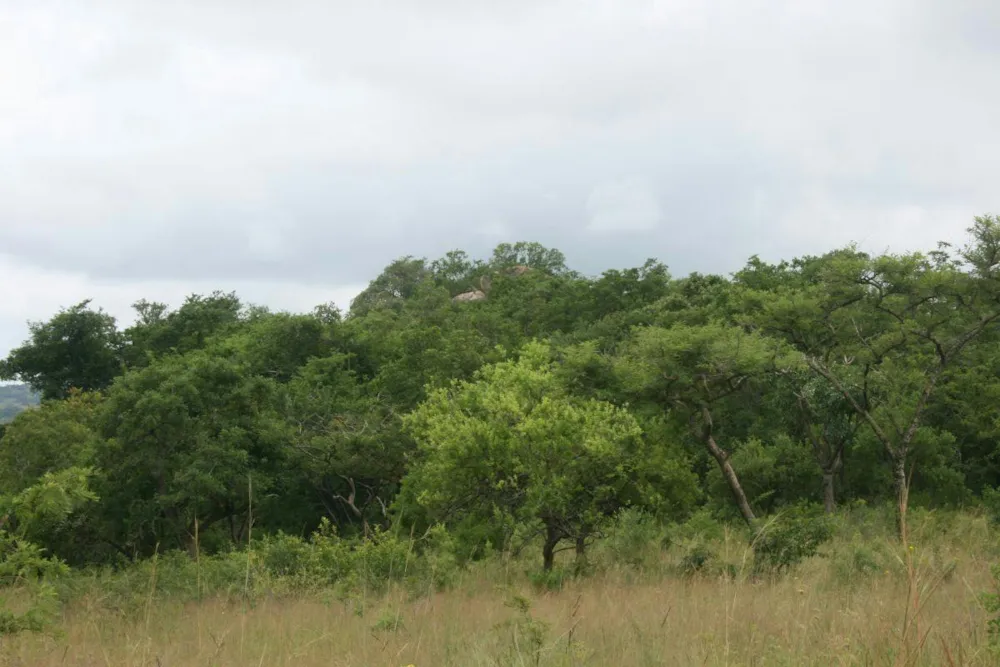Vacant land for sale in Highlands AH - 1NS1360438 Vacant land for sale in Highlands AH - 1NS1360438