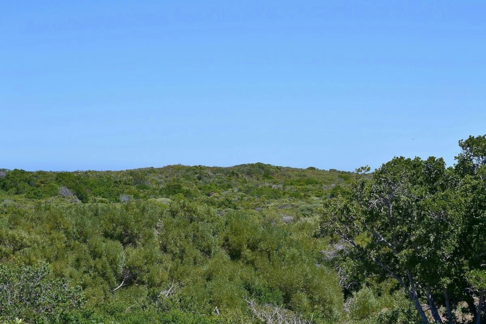 Vacant land sold in Santareme - 1SA1360494 Vacant land sold in Santareme - 1SA1360494