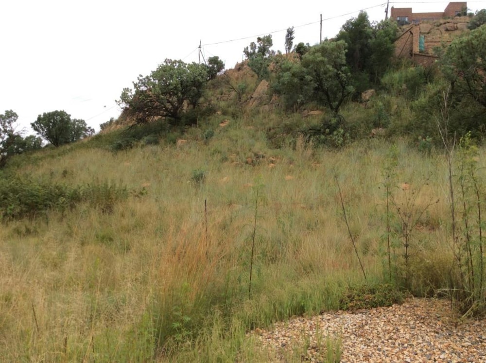 Residential vacant land for sale in Bronkhorstbaai - PRN1511503