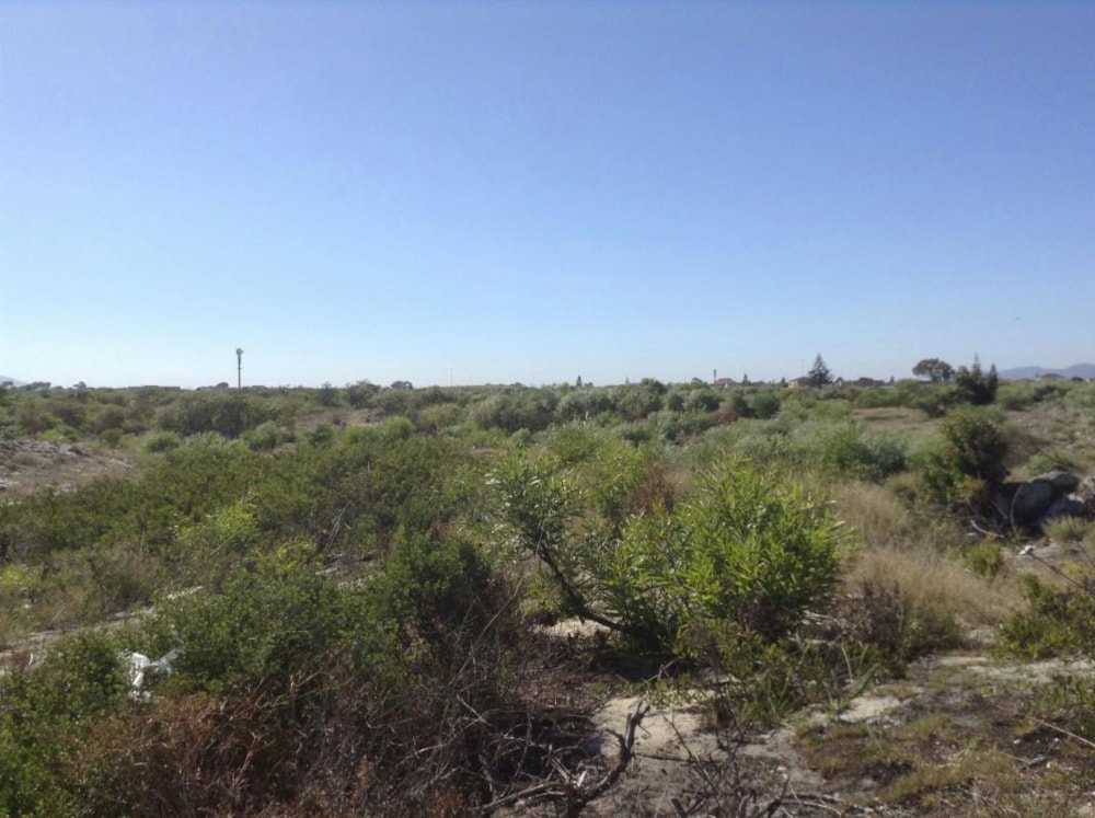 Vacant land for sale in Weltevreden Valley - 1MN1634357