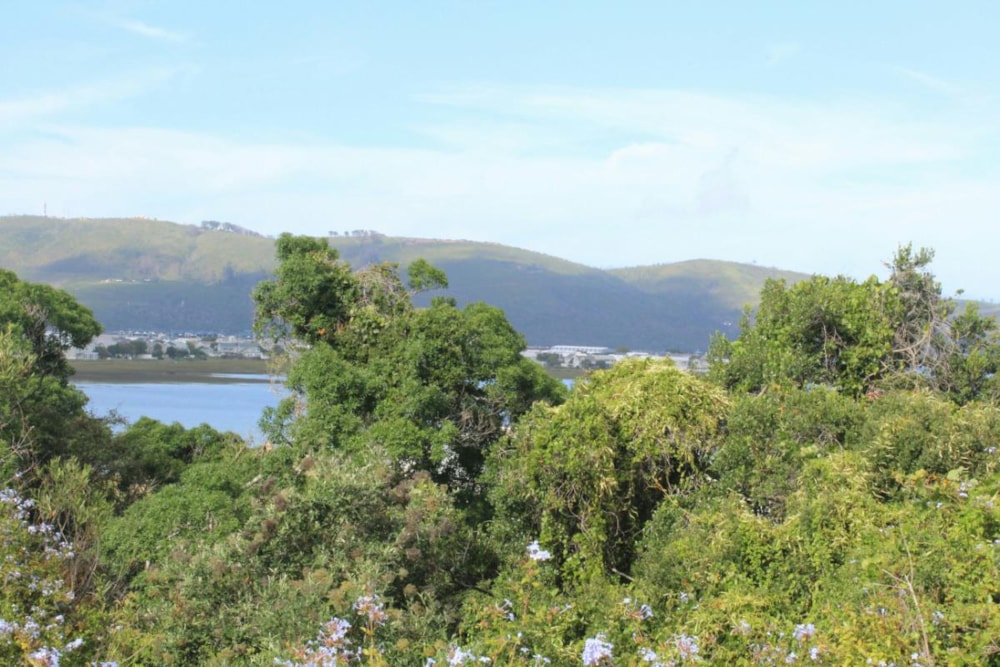 Commercial vacant land for sale in Knysna Central - 1KC1364312