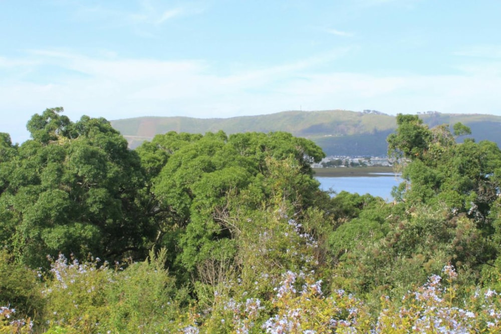 Commercial vacant land for sale in Knysna Central - 1KC1364312 Commercial vacant land for sale in Knysna Central - 1KC1364312