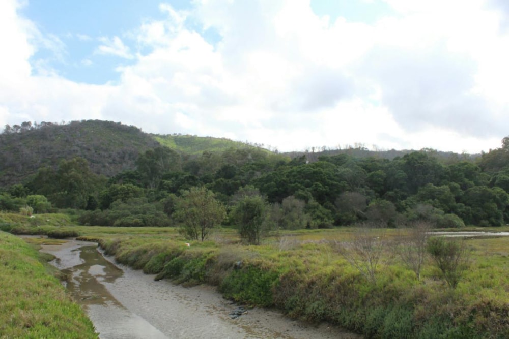 Commercial vacant land for sale in Knysna Central - 1KC1364312 Commercial vacant land for sale in Knysna Central - 1KC1364312