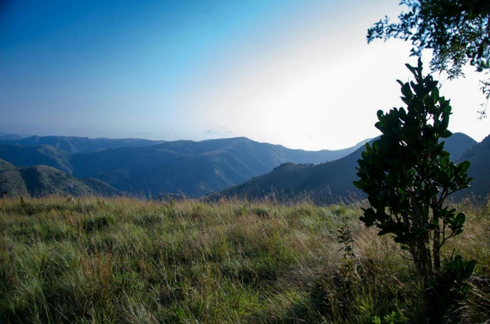 Vacant land for sale in Barberton - 1NK1366291