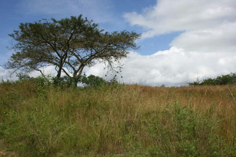 Residential vacant land for sale in Sonheuwel - 1NS1339977 Residential vacant land for sale in Sonheuwel - 1NS1339977