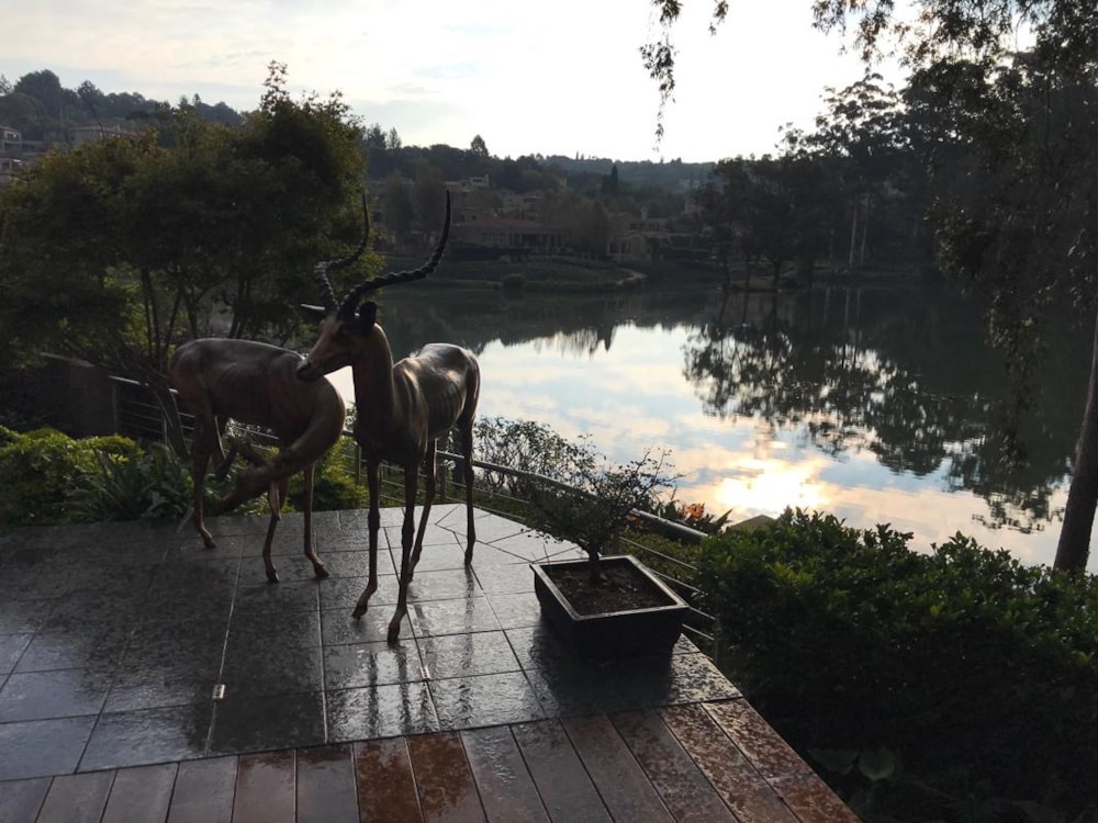 House for sale in Waterkloof, Pretoria East - PT1371671 House for sale in Waterkloof, Pretoria East - PT1371671