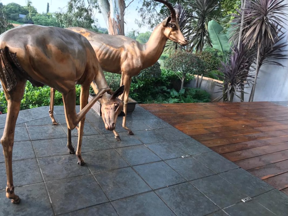 House for sale in Waterkloof, Pretoria East - PT1371671 House for sale in Waterkloof, Pretoria East - PT1371671