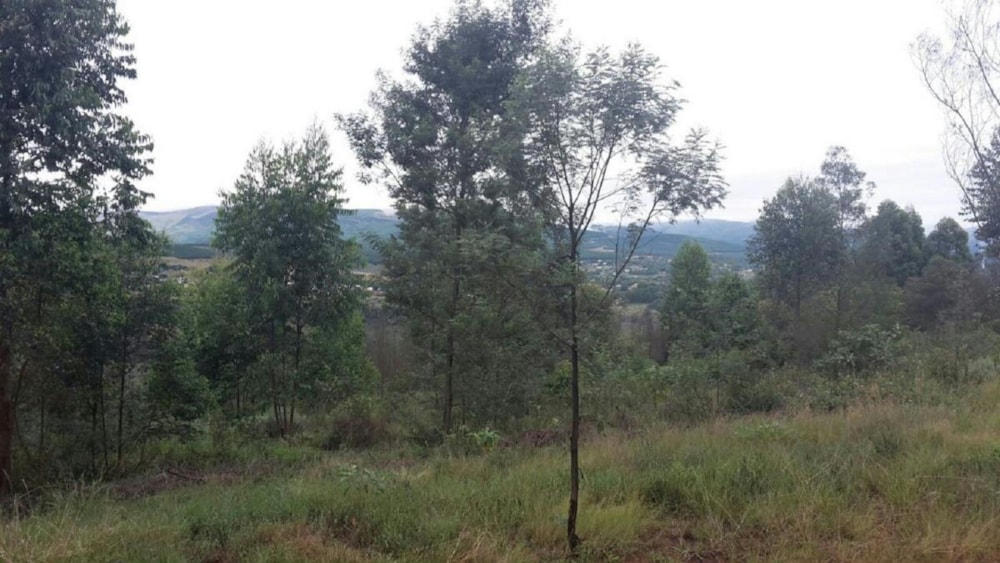Residential vacant land for sale in Sabie - 1LY1371977