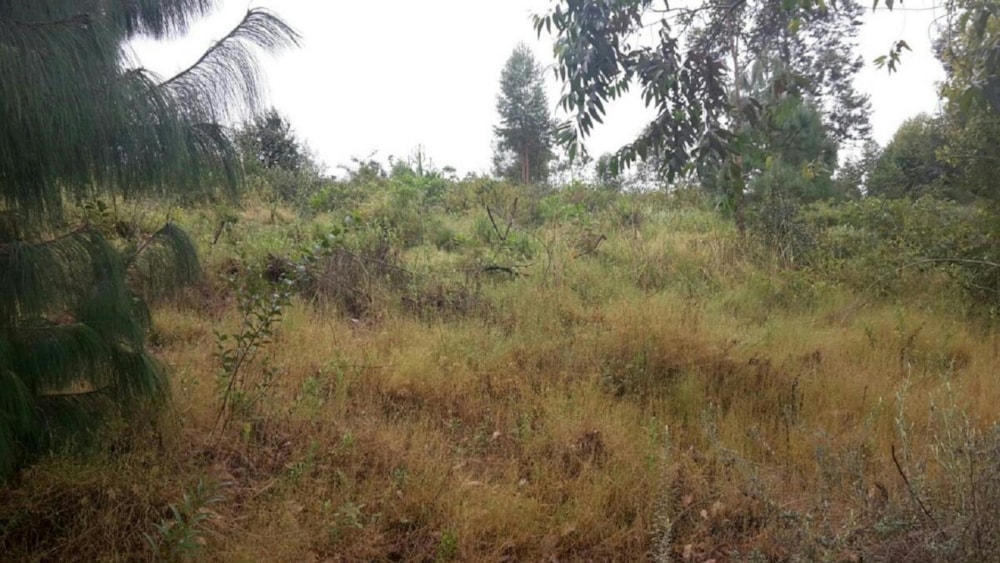 Residential vacant land for sale in Sabie - 1LY1371977
