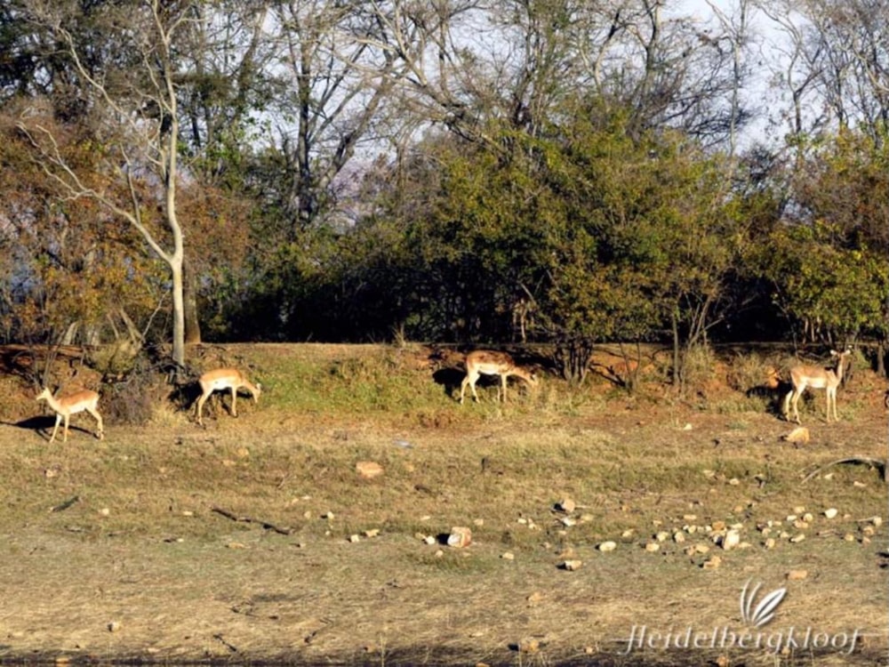 Vacant land for sale in Heidelberg Kloof Estate - 1SP1703777 Vacant land for sale in Heidelberg Kloof Estate - 1SP1703777