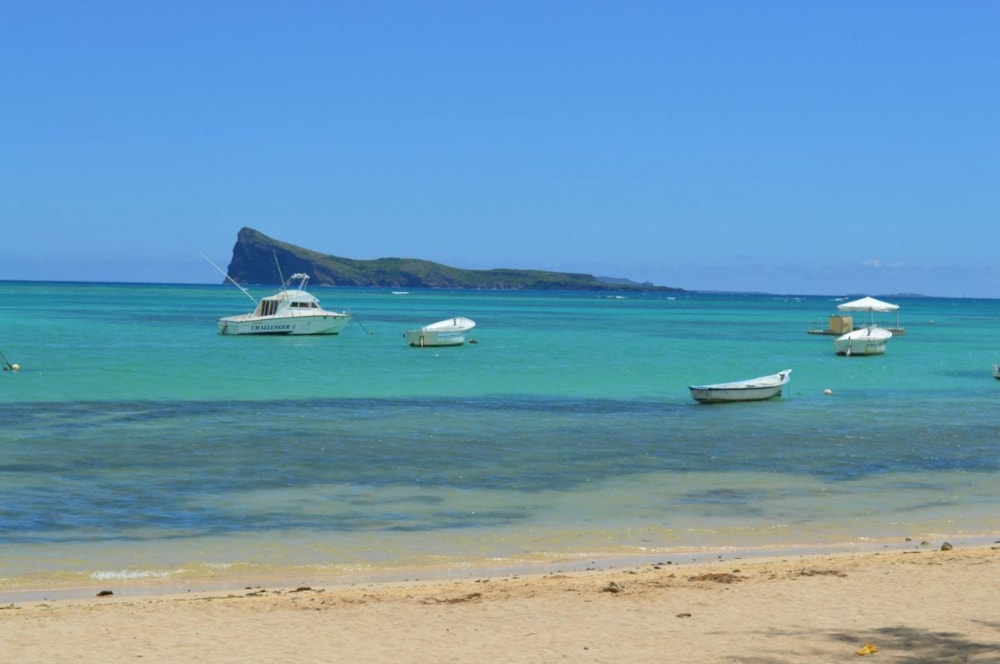 Double-storey house to rent in Bain Boeuf, Mauritius - MPR1736812