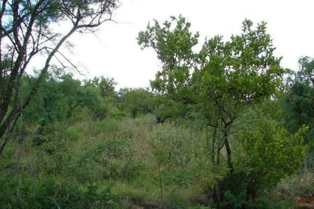 Vacant land for sale in Ohrigstad - 1LY1362176