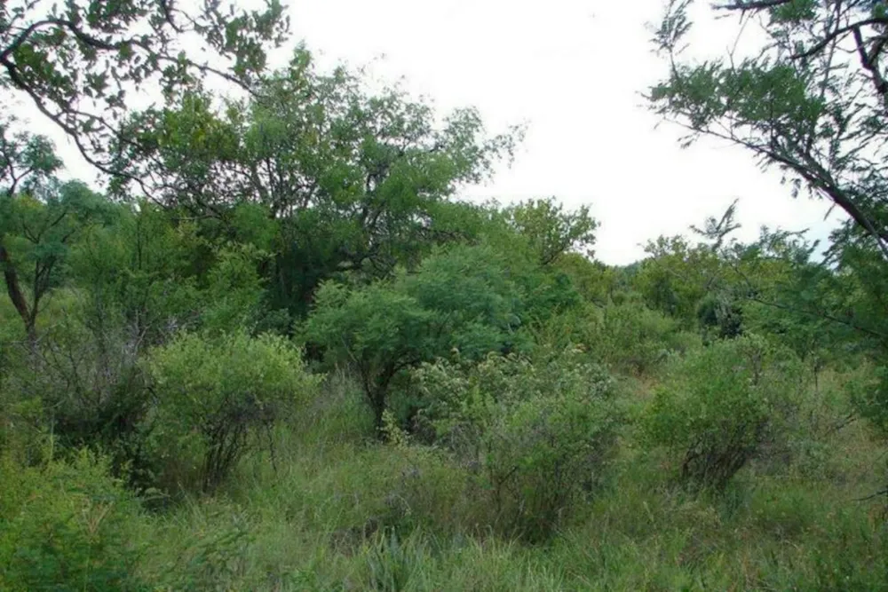 Vacant land for sale in Ohrigstad - 1LY1362176