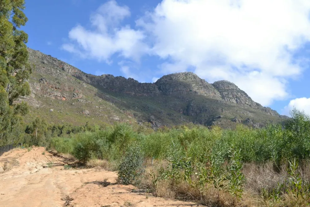 Vacant land sold in Riebeek West - RV1200052 Vacant land sold in Riebeek West - RV1200052