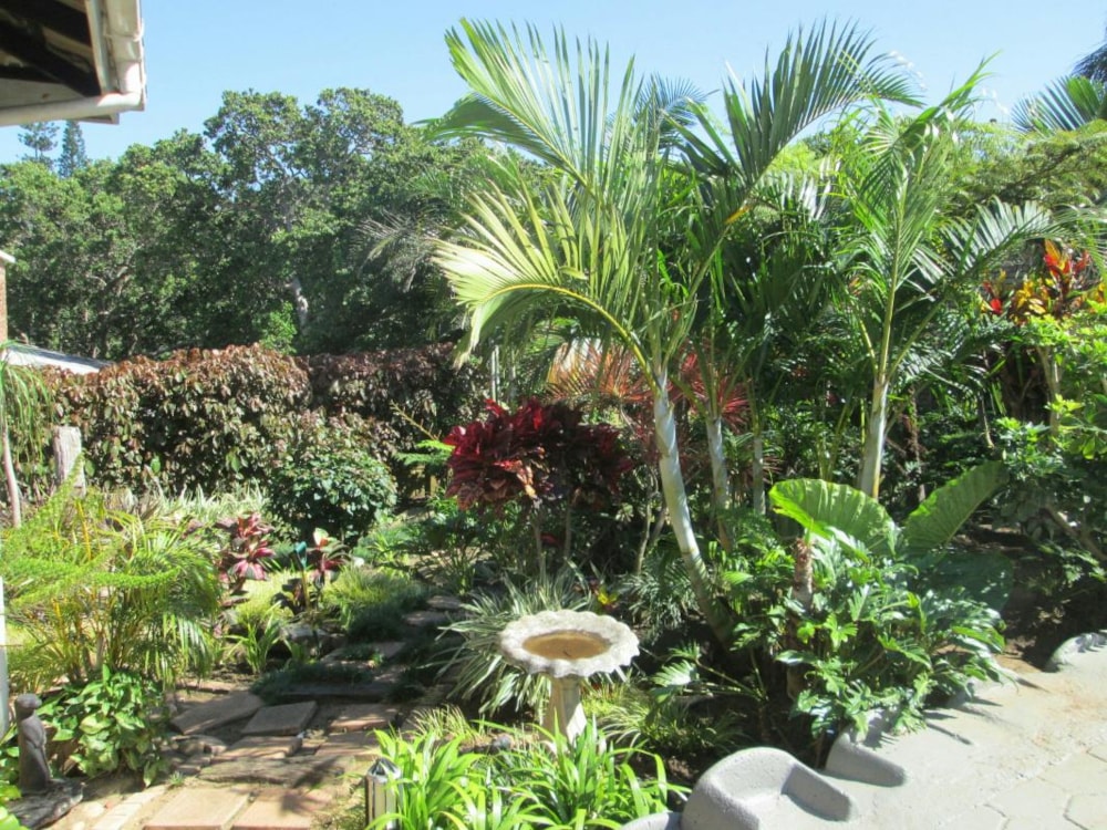 Single-storey house for sale in Ramsgate - 1PD1374462