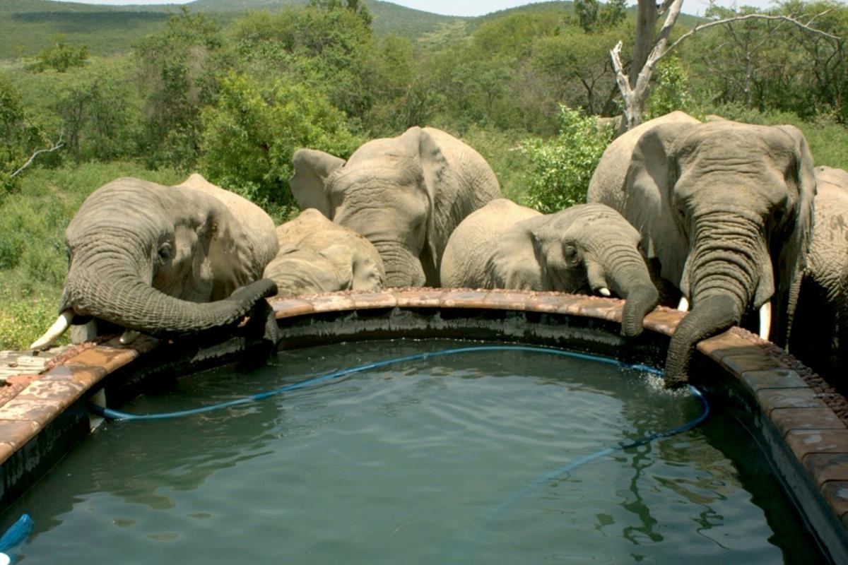 Double-storey house for sale in Mabula - 1MM1375012