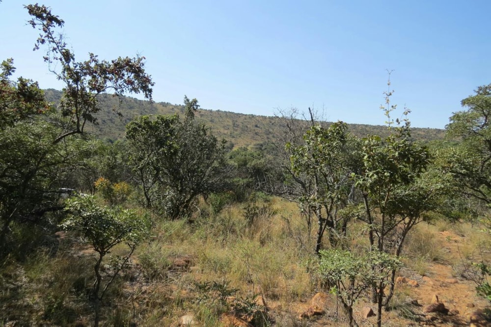 Residential vacant land for sale in Modimolle Rural - 1MM1375446