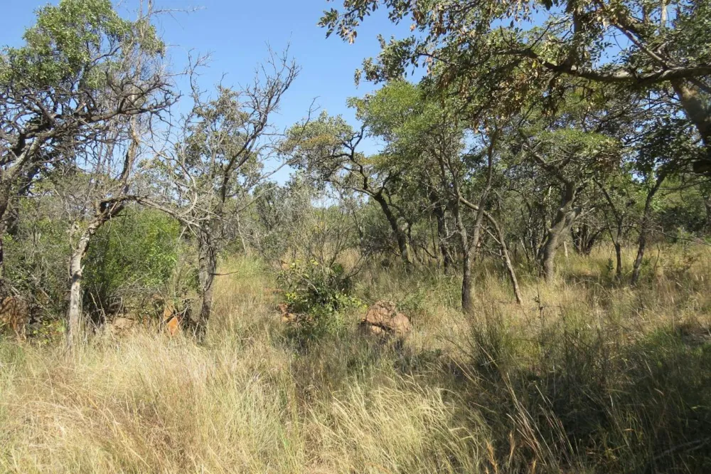 Residential vacant land for sale in Modimolle Rural - 1MM1375446