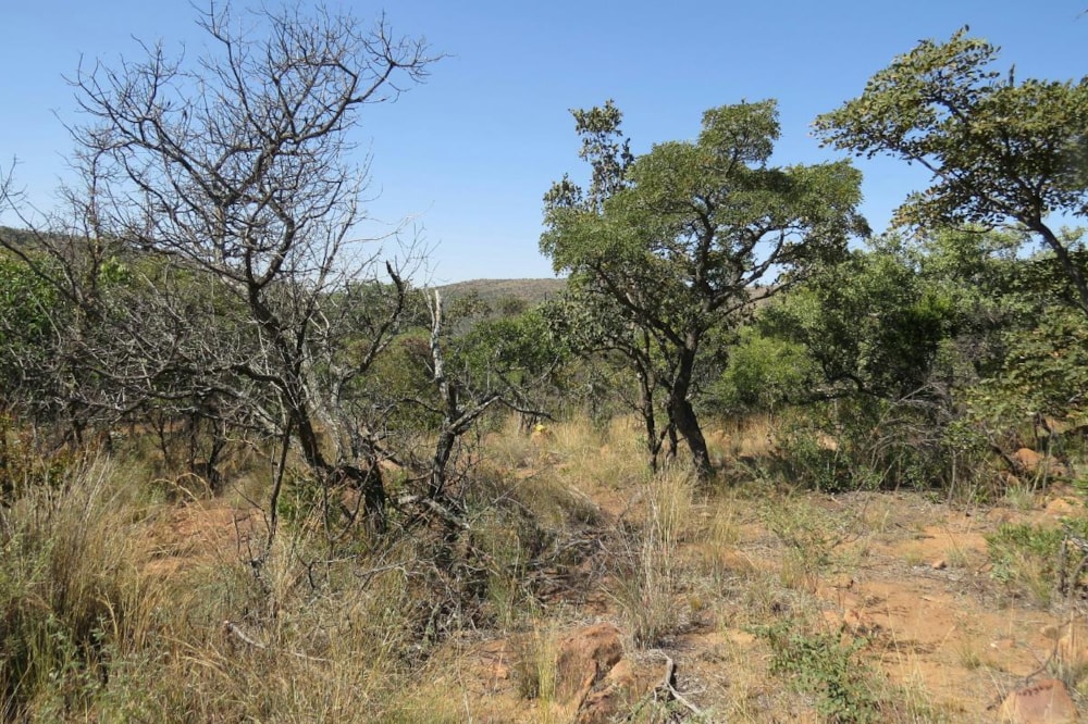 Residential vacant land for sale in Modimolle Rural - 1MM1375446