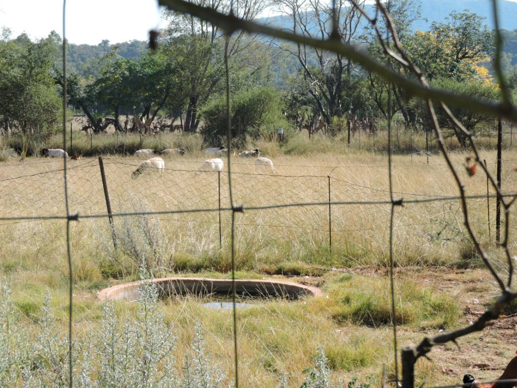 Smallholding for sale in Groot Marico - 1RU1375662