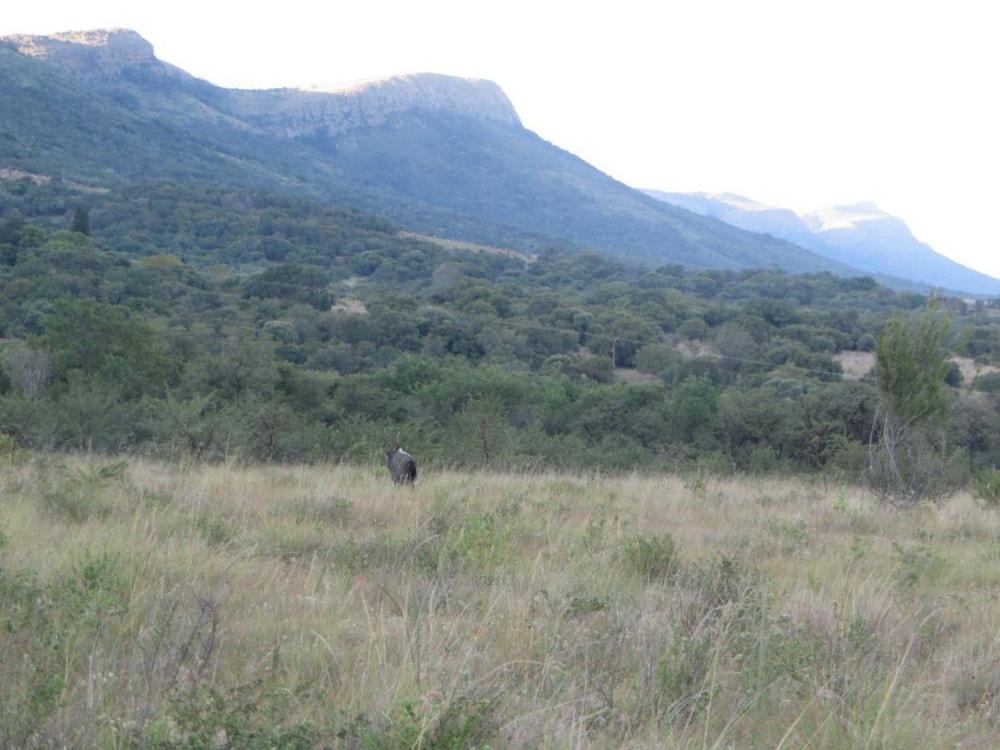 Smallholding for sale in Skeerpoort - 1HR1378331 Smallholding for sale in Skeerpoort - 1HR1378331