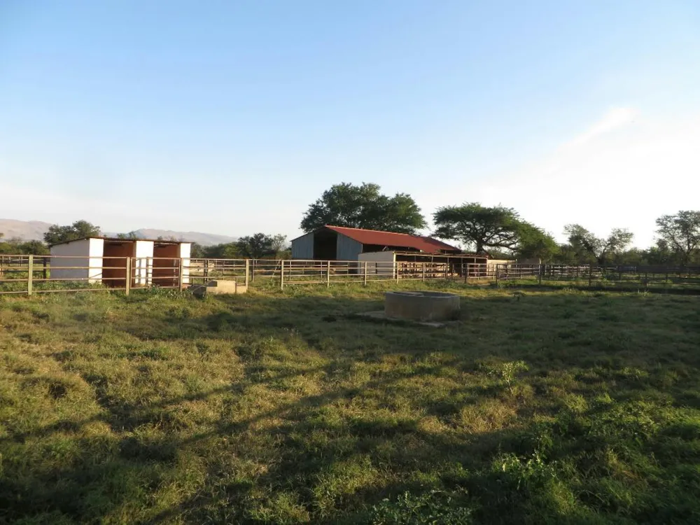 Smallholding for sale in Skeerpoort - 1HR1378331