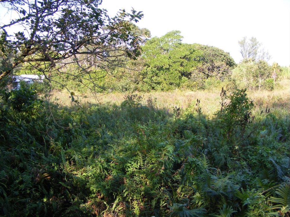 Vacant land for sale in Port Edward - 1PD1298579