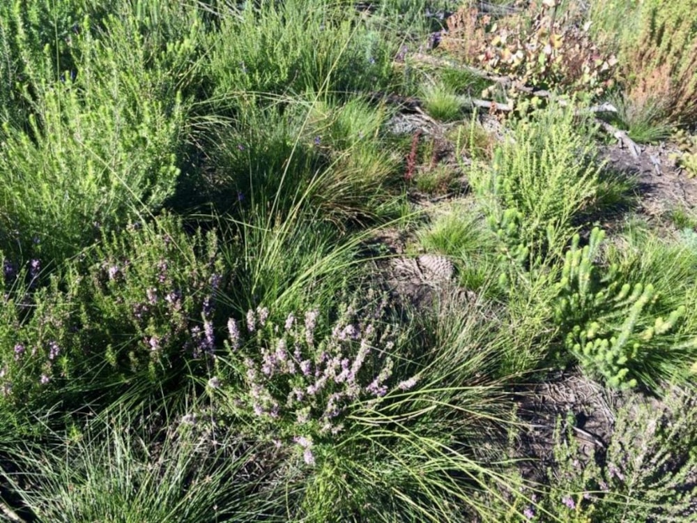 Mixed use farm for sale in Eastford - 1KC1368048 Mixed use farm for sale in Eastford - 1KC1368048