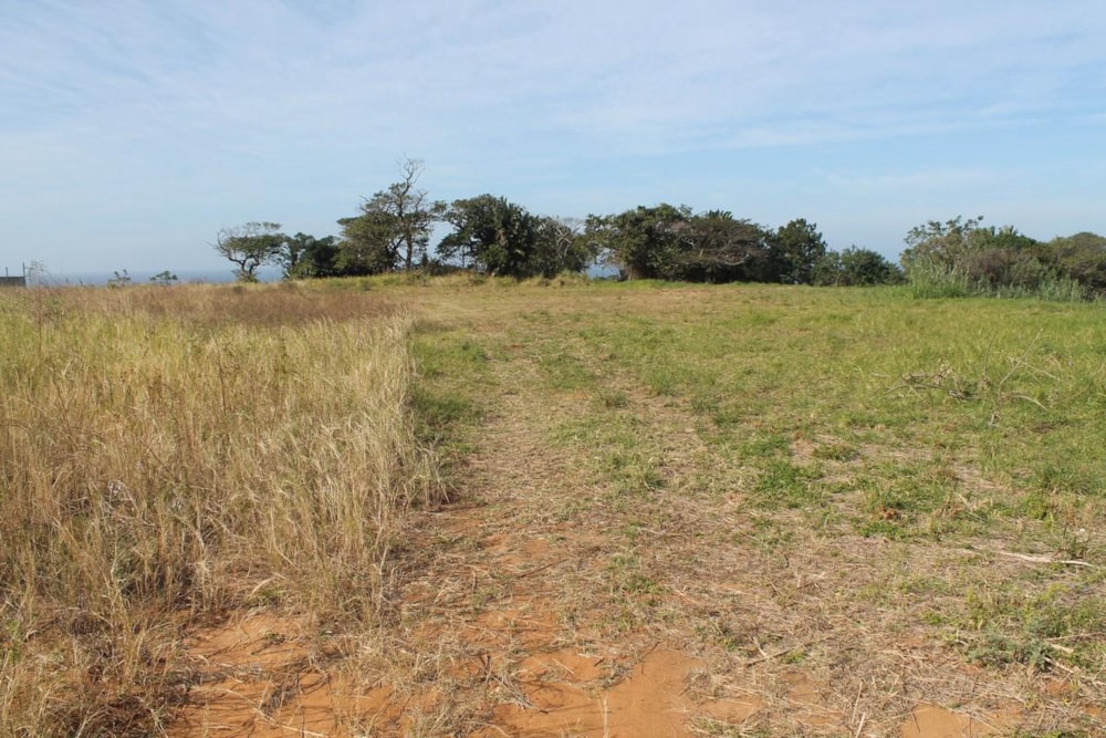 Commercial vacant land for sale in Shelly Beach - 1PX1382363