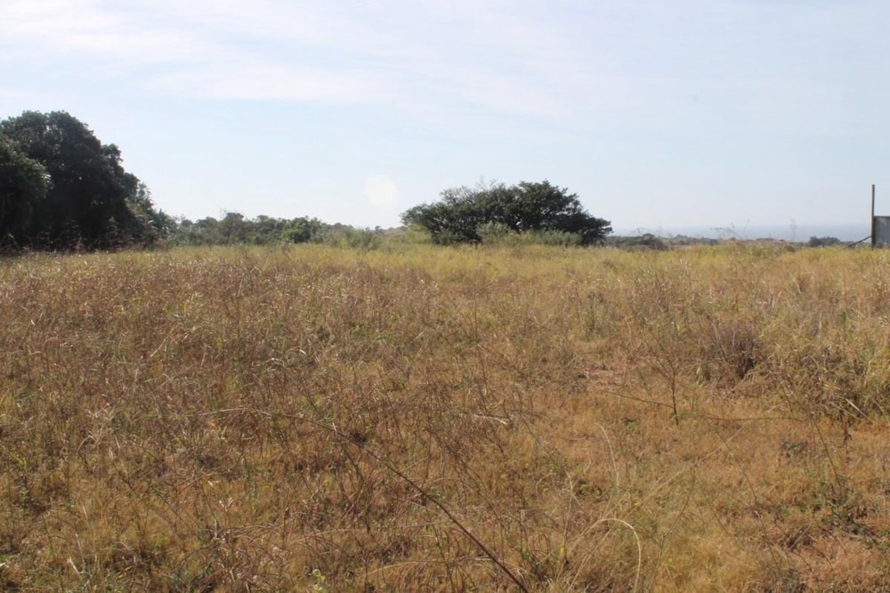 Commercial vacant land for sale in Shelly Beach - 1PX1382363