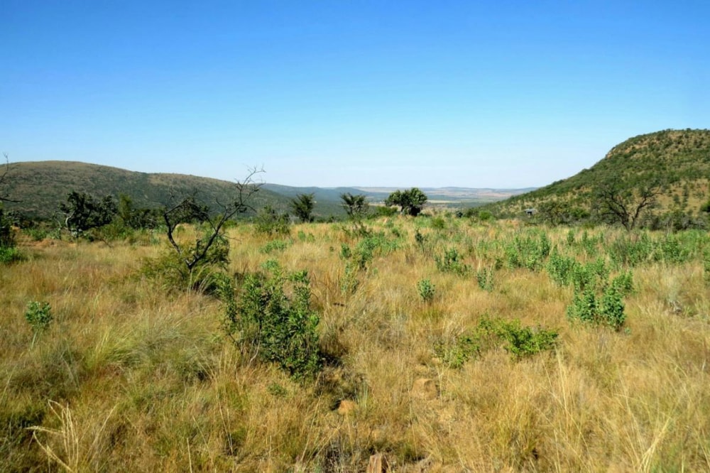 Vacant land for sale in Modimolle Rural - 1MM1383245